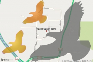 מרחיק יונים בביתן אהרן - הרחקת יונים בביתן אהרן
