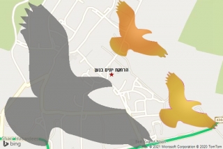 מרחיק יונים בנען - הרחקת יונים בנען