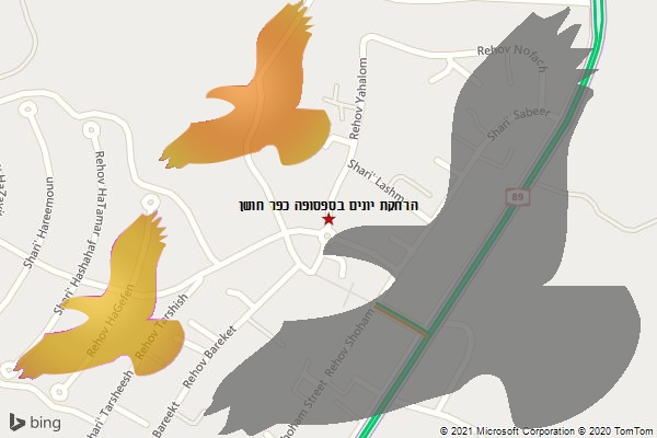הרחקת יונים בספסופה כפר חושן