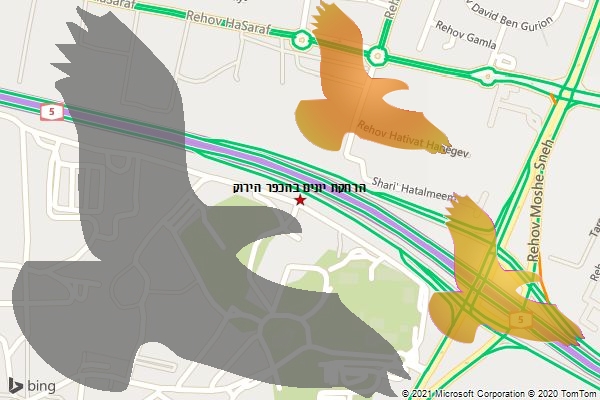 הרחקת יונים בהכפר הירוק