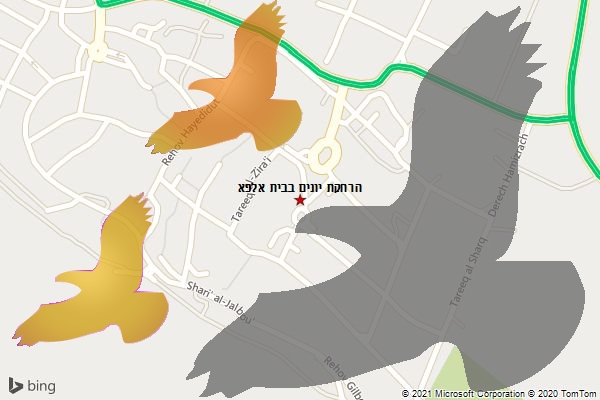 הרחקת יונים בבית אלפא