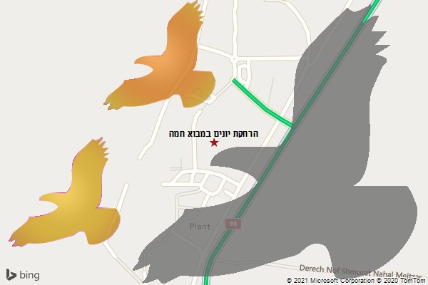 הרחקת יונים במבוא חמה