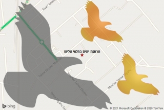 מרחיק יונים בתלמי אליהו - הרחקת יונים בתלמי אליהו