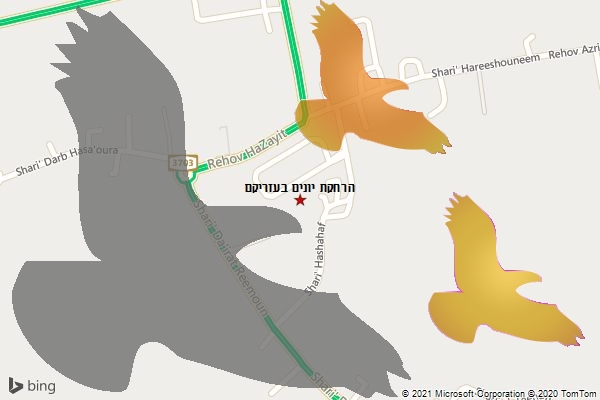 הרחקת יונים בעזריקם