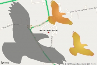 מרחיק יונים בעזריקם - הרחקת יונים בעזריקם