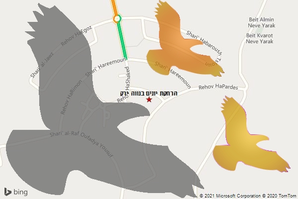 הרחקת יונים בנווה ירק