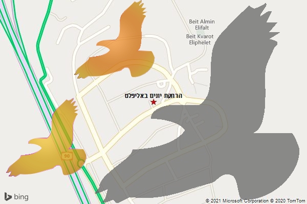 הרחקת יונים באליפלט