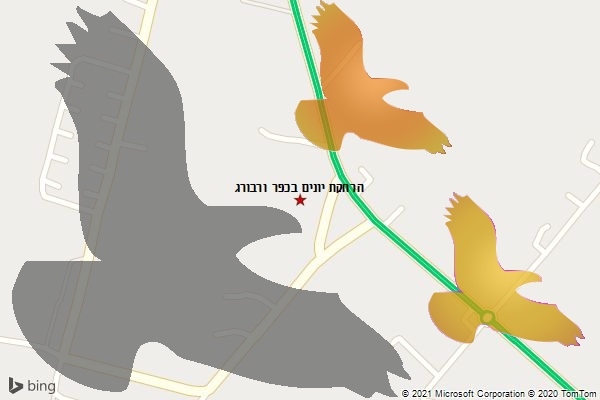 הרחקת יונים בכפר ורבורג