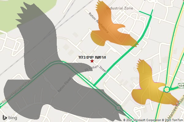 הרחקת יונים בלוד