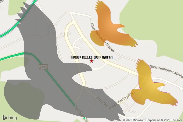הרחקת יונים בגבעת ישעיהו