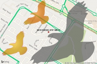 מרחיק יונים במבואות חרמון - הרחקת יונים במבואות חרמון