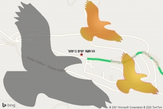 מרחיק יונים ביצהר - הרחקת יונים ביצהר