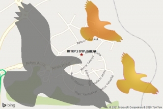 מרחיק יונים ביסודות - הרחקת יונים ביסודות