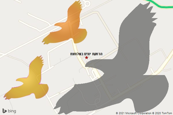 הרחקת יונים בשלוחות