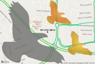 מרחיק יונים ביהוד - הרחקת יונים ביהוד