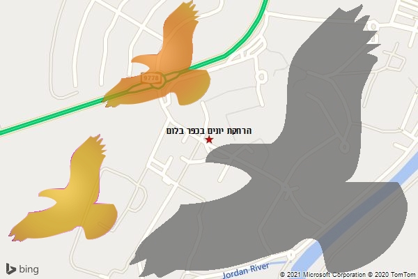 הרחקת יונים בכפר בלום