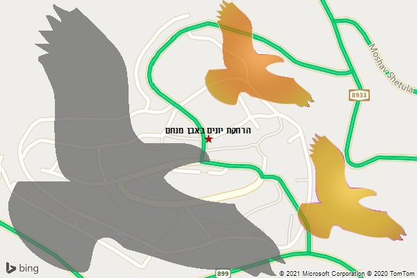 הרחקת יונים באבן מנחם