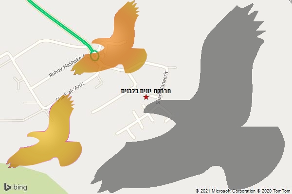 הרחקת יונים בלבנים