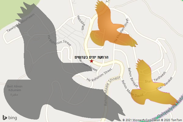 הרחקת יונים בקדומים