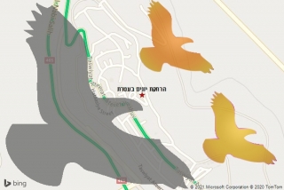 מרחיק יונים בעטרת - הרחקת יונים בעטרת