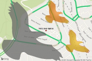 מרחיק יונים בלפיד - הרחקת יונים בלפיד