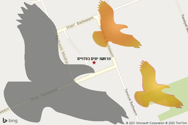 הרחקת יונים בפדויים