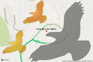מרחיק יונים בראש צורים - הרחקת יונים בראש צורים