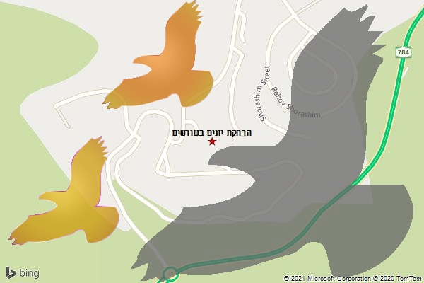 הרחקת יונים בשורשים