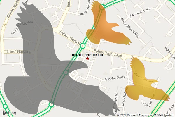 הרחקת יונים בשדרות