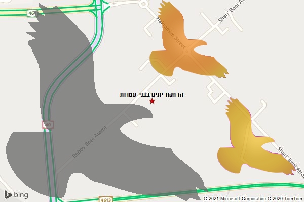הרחקת יונים בבני עטרות