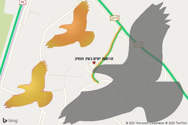 הרחקת יונים בעין הנציב