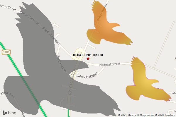 הרחקת יונים באורות