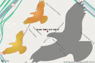  במשמר השבעה - הרחקת יונים במשמר השבעה