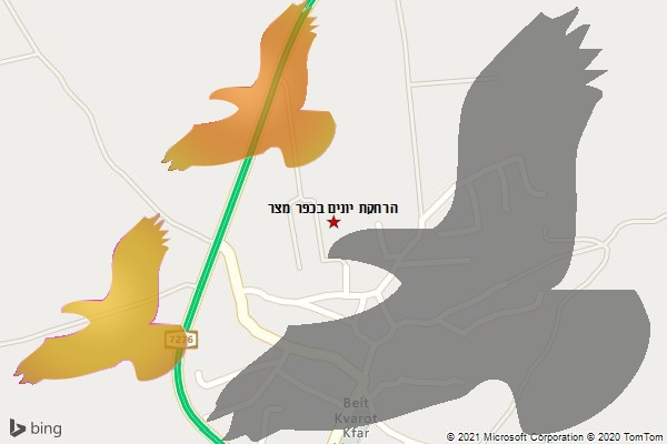 הרחקת יונים בכפר מצר