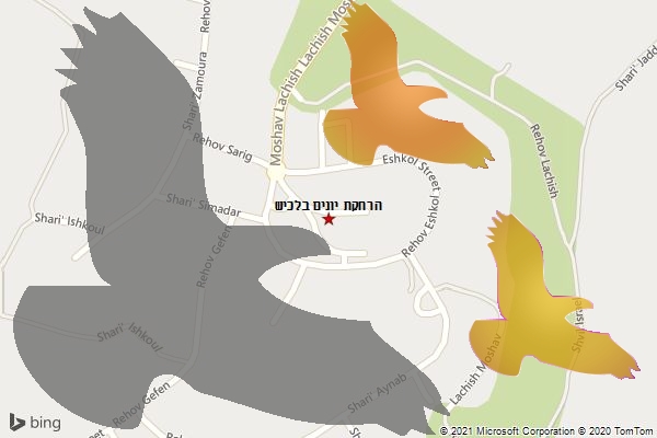 הרחקת יונים בלכיש