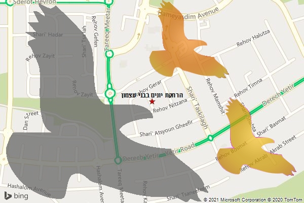 הרחקת יונים בבני עצמון