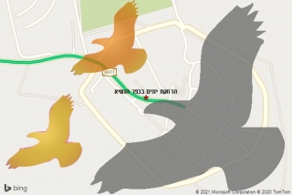 מרחיק יונים בכפר הנשיא - הרחקת יונים בכפר הנשיא
