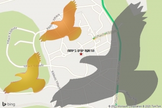 מרחיק יונים ביפתח - הרחקת יונים ביפתח