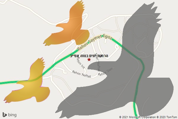 הרחקת יונים בנווה אט״יב