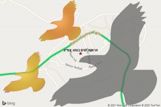 מרחיק יונים בנווה אט״יב - הרחקת יונים בנווה אט״יב