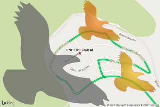 מרחיק יונים בנופים - הרחקת יונים בנופים