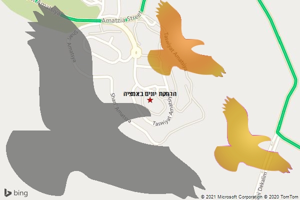 הרחקת יונים באמציה