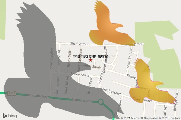 הרחקת יונים בעין שריד