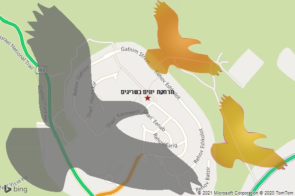 הרחקת יונים בשריגים