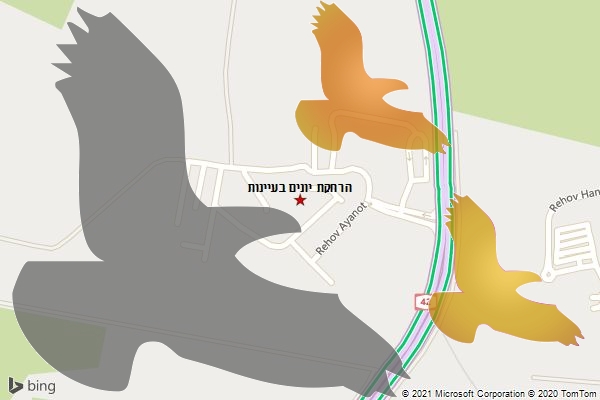 הרחקת יונים בעיינות
