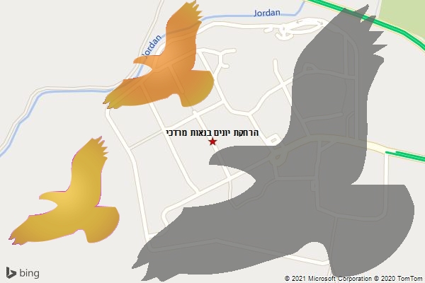 הרחקת יונים בנאות מרדכי