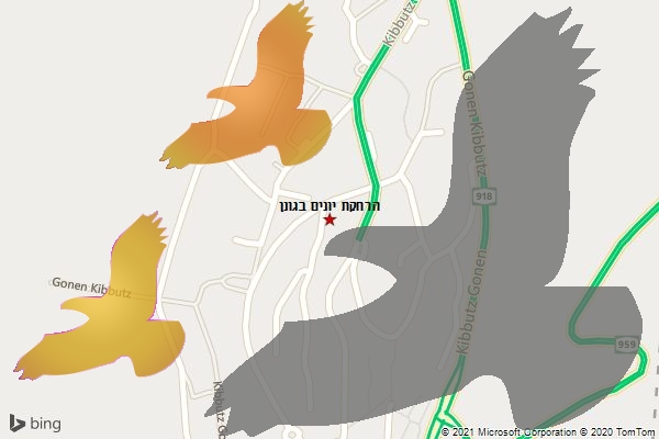 הרחקת יונים בגונן