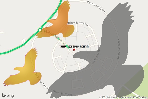 הרחקת יונים בבר יוחאי