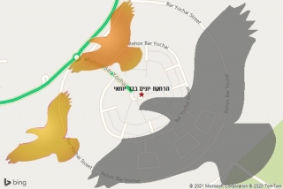 מרחיק יונים בבר יוחאי - הרחקת יונים בבר יוחאי