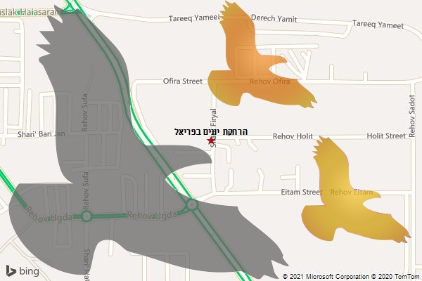 הרחקת יונים בפריאל